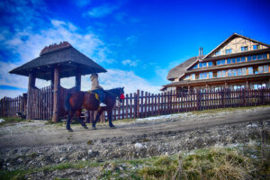 foto-exterior-cabana-varful-ciucas